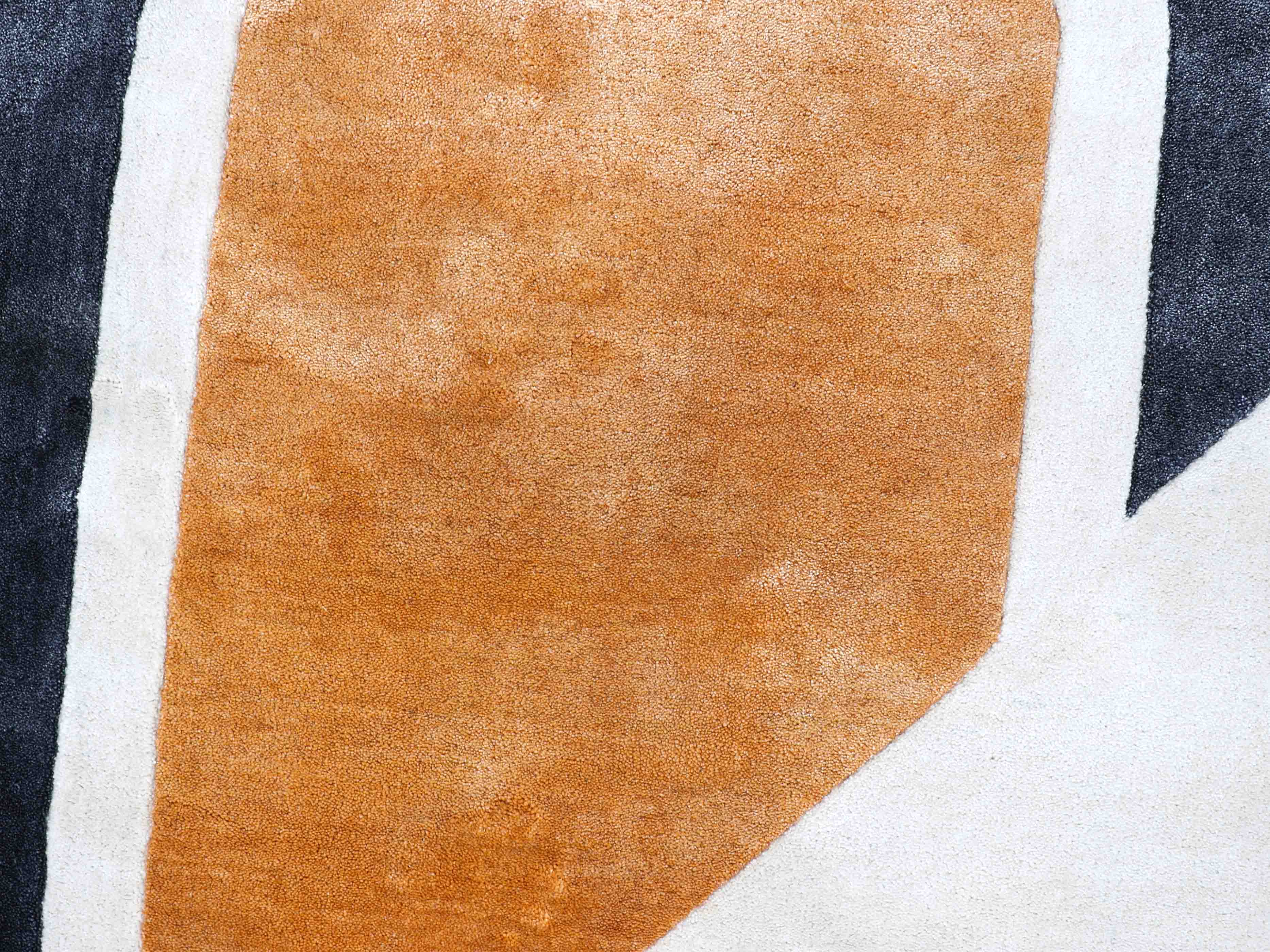 ARCOVA | 4' x 6' FT | MODERN RUGS | MULTI COLOR